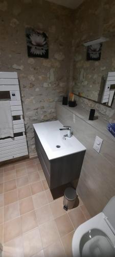 a bathroom with a sink and a toilet at Les mimosas in Saint-Aignan