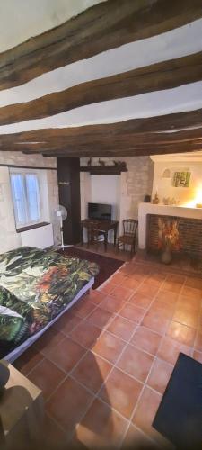 une grande pièce avec un lit et une cheminée dans l'établissement Les mimosas, à Saint-Aignan