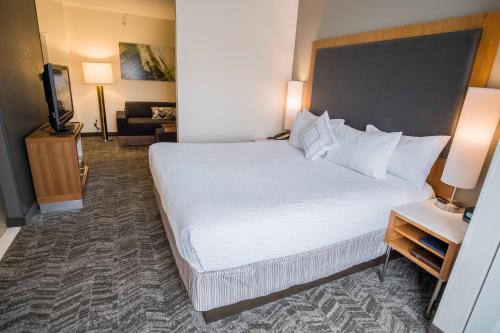 a hotel room with a large bed and a television at SpringHill Suites by Marriott Winston-Salem Hanes Mall in Winston-Salem