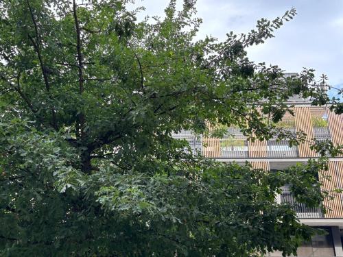 Φωτογραφία από το άλμπουμ του En el corazón de Punta Carretas σε Μοντεβιδέο