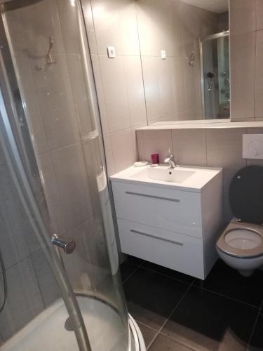 une salle de bain avec une douche, un lavabo et des toilettes dans l'établissement Studio de montagne familial, à Bagnères-de-Bigorre