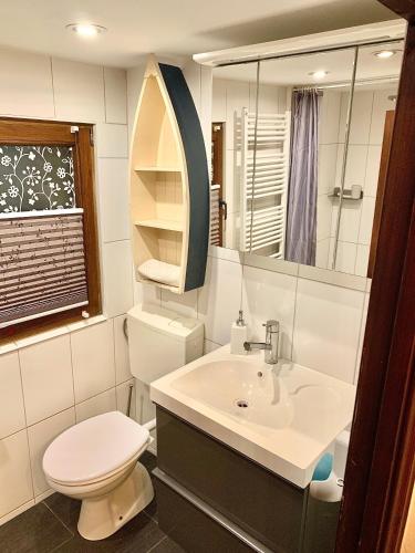 a bathroom with a sink and a toilet and a mirror at Aschenputtel Relax Bernsteinsee Stüde in Sassenburg