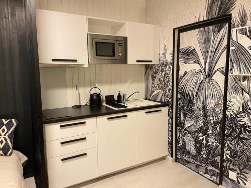une cuisine avec un évier et un micro-ondes dans l'établissement Nouveau Studio Oasis, à Chasseneuil-du-Poitou