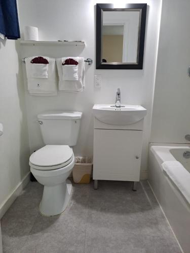 a bathroom with a toilet and a sink and a mirror at Three Island Motel in Bobcaygeon