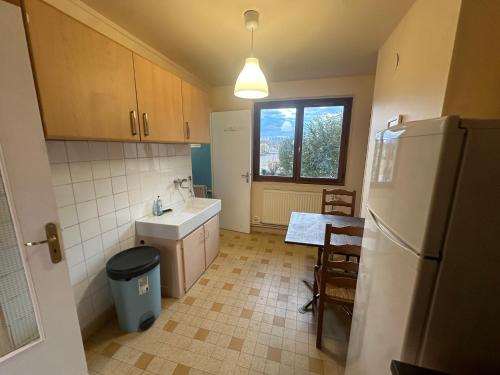 une cuisine avec un évier et un réfrigérateur dans l'établissement Logements Gare Brignoud, à Villard-Bonnot
