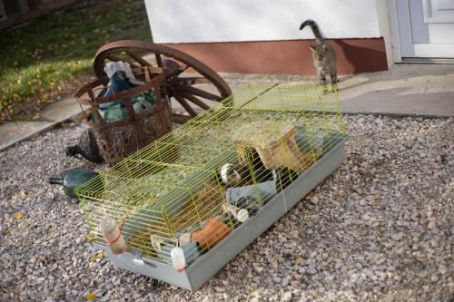 a bird cage sitting on the ground next to a bird istg at Szent Kristóf Udvarház in Kiskorpád