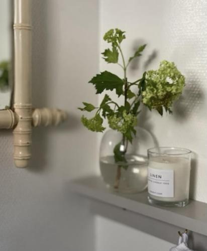 a glass vase with a plant and a candle on a shelf at Atelier Blå houses in Rösselvik