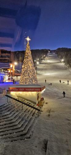 a christmas tree on a beach at night at Apartment Holiday Ravna Planina in Pale
