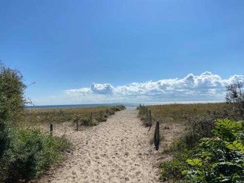 a path through the sand in a field at Auf Feiningers Spuren durch das Mönchgut Kleines Apartment 3 in Lobbe