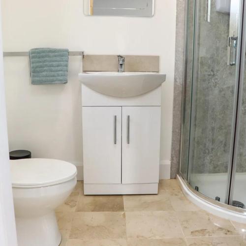 a bathroom with a sink and a toilet and a shower at Ballyconnery Bliss in Colligan Bridge