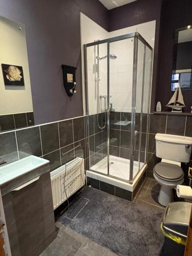 a bathroom with a shower and a toilet and a sink at Garden cottage in South Collingham