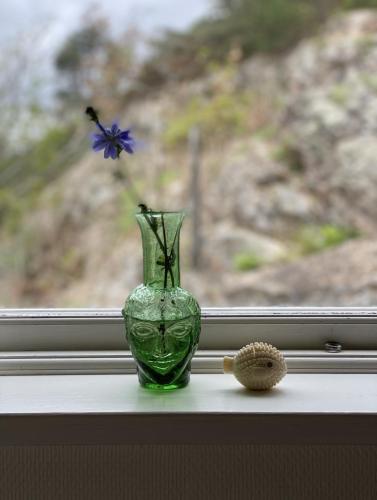 a green glass vase sitting on a window sill with a blue flower at Atelier Blå houses in Rösselvik