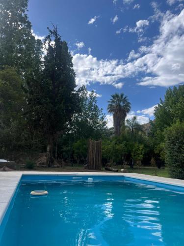 a blue swimming pool with a palm tree in the background at Cabañas Balcón del Famatina in Chilecito
