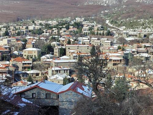 a small town with buildings in a city at Gaea Mont Chalet in Palaios Agios Athanasios