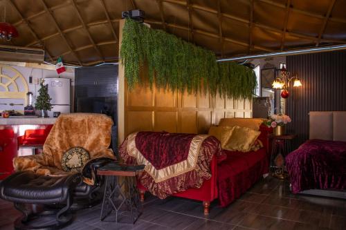 a living room with a couch and a chair and ivy at EL DOMO jardín en Coyoacán in Mexico City