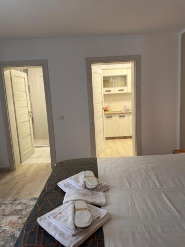 Llit o llits en una habitació de Garsonierele Scandinav