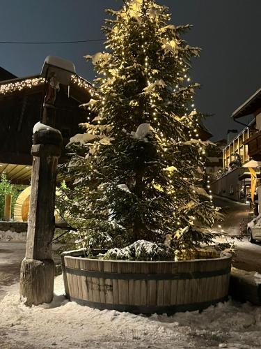 a christmas tree in a planter in the snow at Small attic apartment close to Lake and Mountains Fussach in Fußach