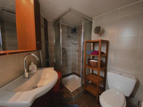 a bathroom with a shower and a toilet and a sink at Einstein Apartment in Athens