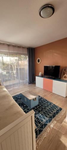 un salon avec un lit et une télévision dans l'établissement Le Studio Ombragé, à Sète