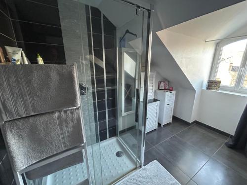 une douche avec une porte vitrée dans une salle de bain dans l'établissement Le Cocon Briand, à Fougères