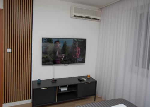 Apartman studio GRUBAC في تريبينيي: غرفة معيشة مع تلفزيون على الحائط