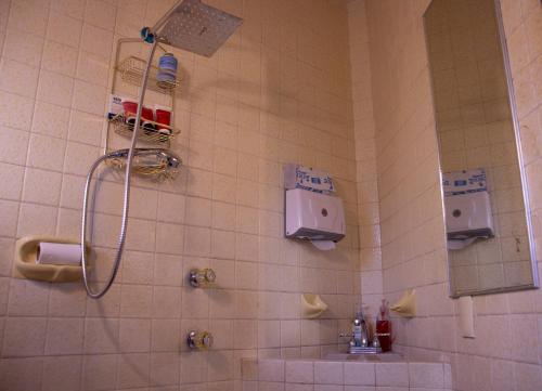 a bathroom with a shower and a sink at EL DOMO jardín en Coyoacán in Mexico City