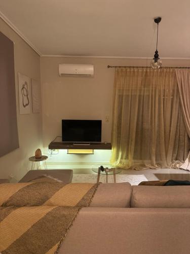 Zoe's Luxury Homes 2