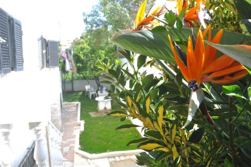 Manelisa Cascais photo 2