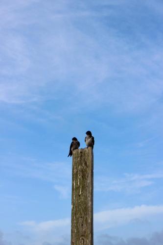 Imagen de la galería de Posada El Pepe, en José Ignacio