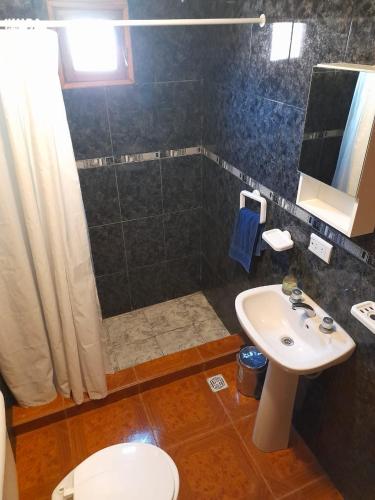 a bathroom with a sink and a toilet and a shower at Cabañas don fortuno in Puerto Deseado