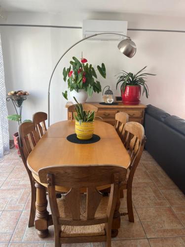 a dining room table and chairs with plants on it at Villa 2 chambres piscine municipale à 500 m in Arles-sur-Tech
