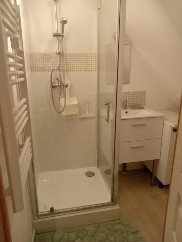une salle de bain avec douche et lavabo dans l'établissement T2 lumineux refait à neuf, au calme, jardin partagé, à Amiens
