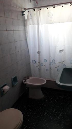 ein Badezimmer mit Toilette und Duschvorhang in der Unterkunft Hostel Doblas Argentina in Doblas