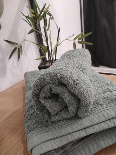 une couverture grise sur une table avec une plante dans l'établissement Le Nid Douillet à 1h de Paris-Gare à 5 min à pied, logement entier, à Saint-Just-en-Chaussée