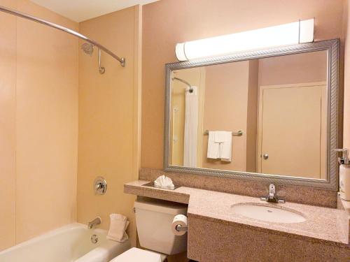 a bathroom with a toilet and a sink and a mirror at Holiday Inn South Plainfield-Piscataway by IHG in South Plainfield