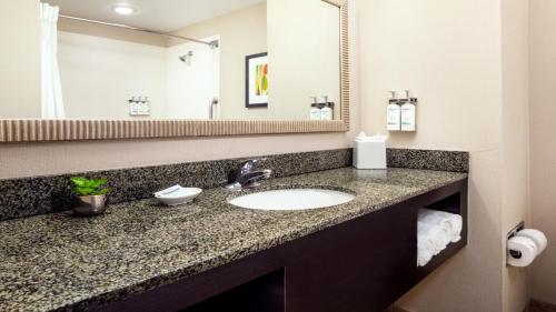 Koupelna v ubytování Holiday Inn Phoenix/Chandler by IHG