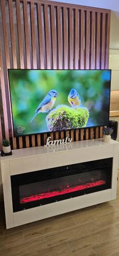 TV a/nebo společenská místnost v ubytování Green Hill Isidorovic Divcibare ll