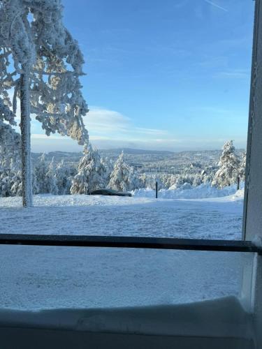 a view of a snow covered yard from a window at Divčibarski pogledi in Divčibare