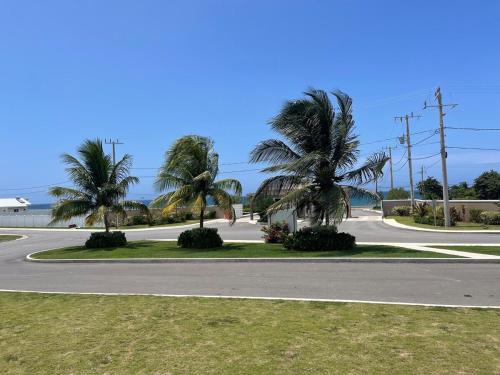 a street with palm trees on the side of a road at Seashell Villas in Lucea