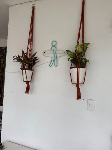 un muro con tre piante in vaso e forbici di Casa bohio surf a Jacó