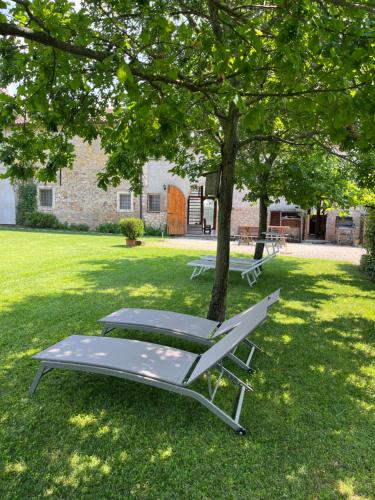 two lounge chairs under a tree in a yard at Villa storica 3Lasagne, tra Verona e Venezia in Lonigo