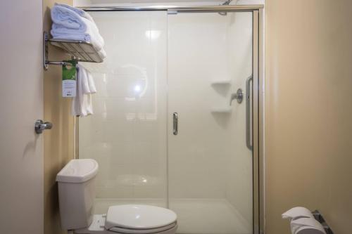 a bathroom with a shower and a toilet at SpringHill Suites Statesboro University Area in Statesboro