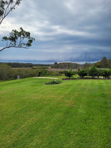a large green field with a tree in the distance at Jabiru Motel in Nambucca Heads