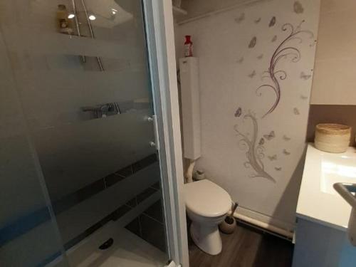 une petite salle de bain avec toilettes et douche dans l'établissement Studio rénové à 150m de la plage avec vélos et animaux acceptés - FR-1-494-199, à Saint-Georges-de-Didonne