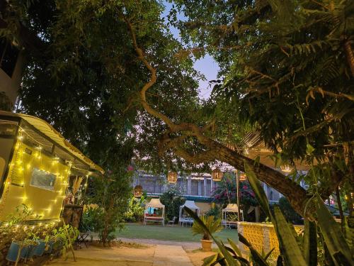 a tent with lights on it sitting under a tree at Elephant Pushkar in Pushkar