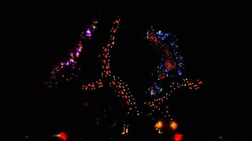 a christmas tree decorated with lights in the dark at 五浦 幽谷隠田跡温泉 Hidden Traces of Rice Terraces Hot Spring - Izura in Kitaibaraki