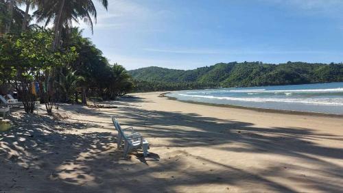 una panchina seduta su una spiaggia vicino all'oceano di AKOYA Beachfront Tent house a El Nido