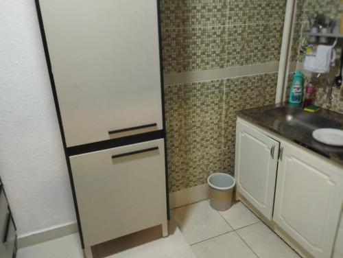 a small kitchen with a refrigerator and a sink at Stefanich Aparthotel 2122 in Ciudad del Este