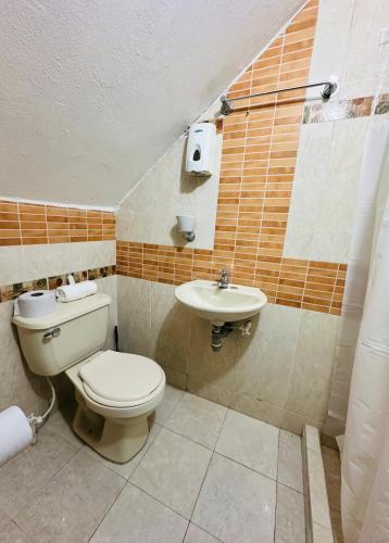 un bagno con un water e un lavandino di Santorini Colombiano a Puerto Triunfo