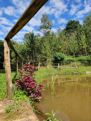 a bridge over a pond with flowers next to it at LUSHOTO EXECUTIVE LODGE in Lushoto